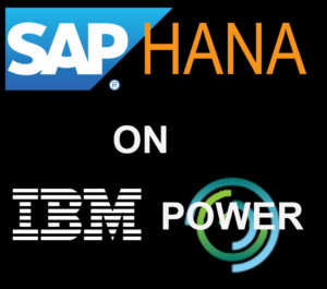SAP HANA on IBM Power logo