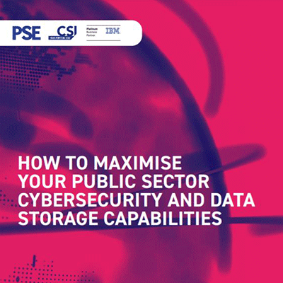 public sector cyber security whitepaper