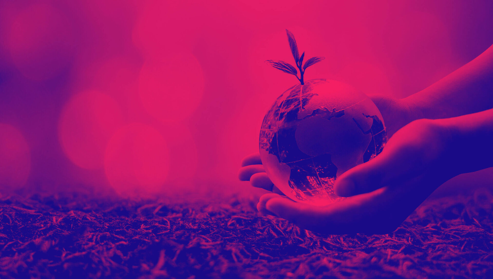 IT sustainability